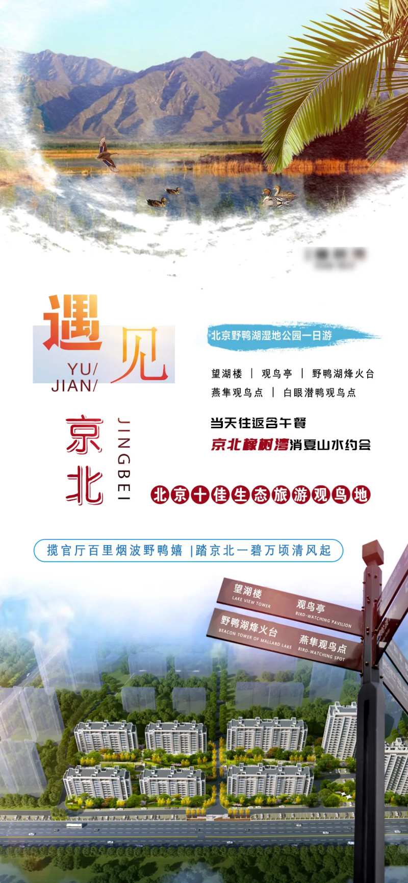 野鸭湖一日游海报-采灵感-cailinggan.com