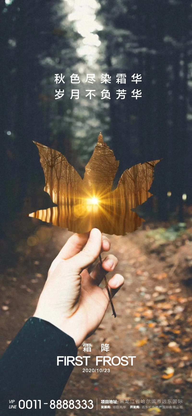 霜降节气海报-采灵感-cailinggan.com