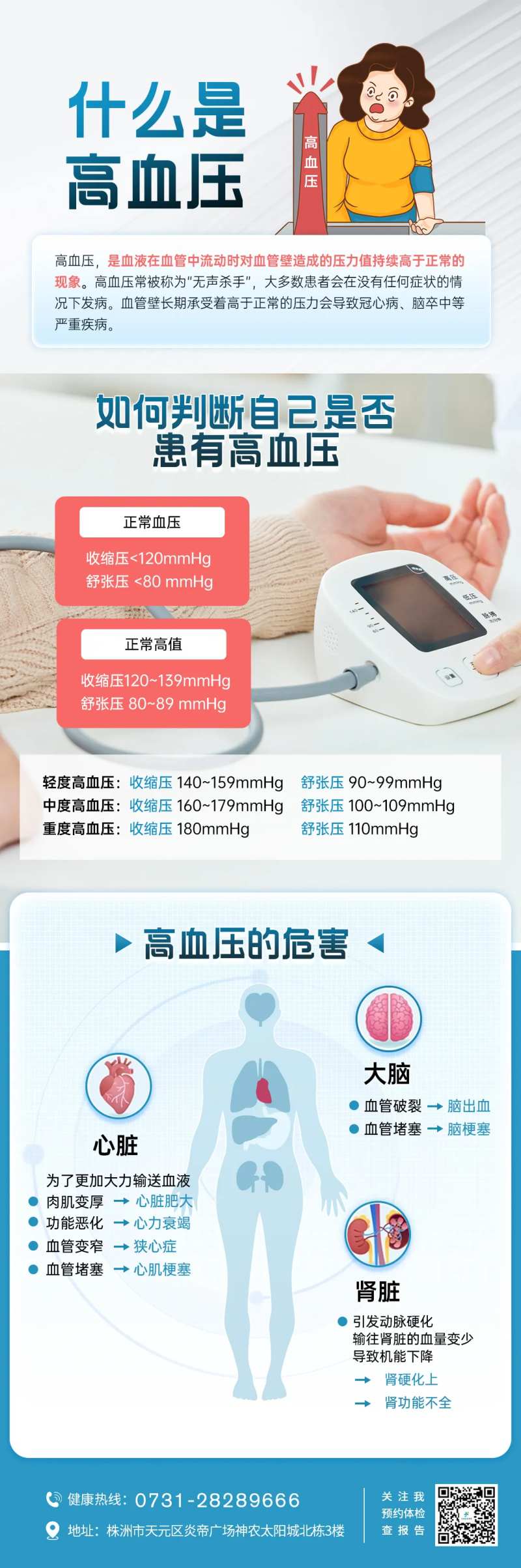 高血压科普海报-采灵感-cailinggan.com