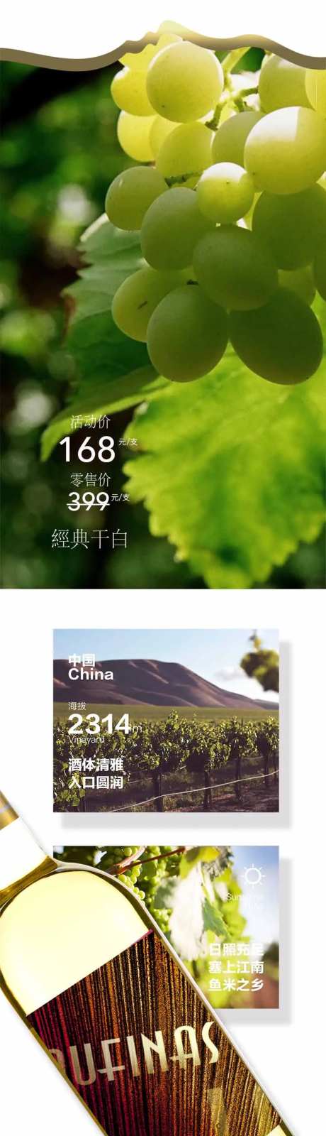 干白葡萄酒专题设计-采灵感-https://www.cailinggan.com/
