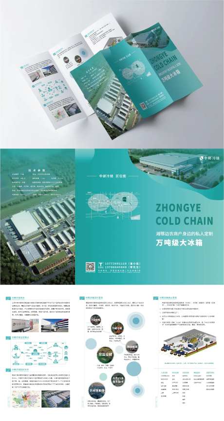 冷链物流三折页-采灵感-https://www.cailinggan.com/