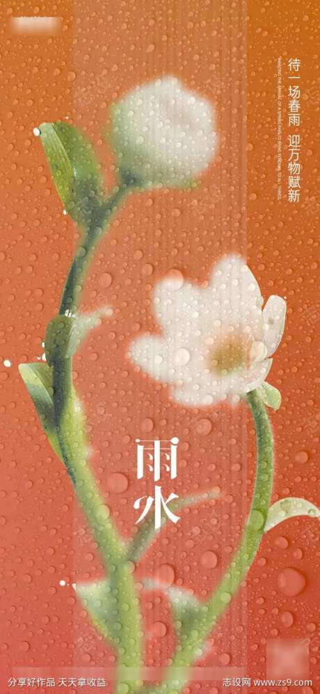 雨水花朵节气海报-采灵感-https://www.cailinggan.com/