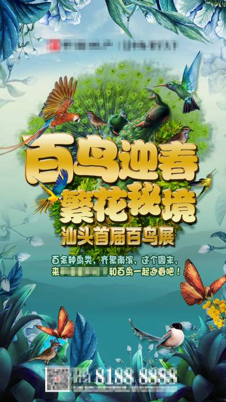 百鸟展活动海报-采灵感-https://www.cailinggan.com/