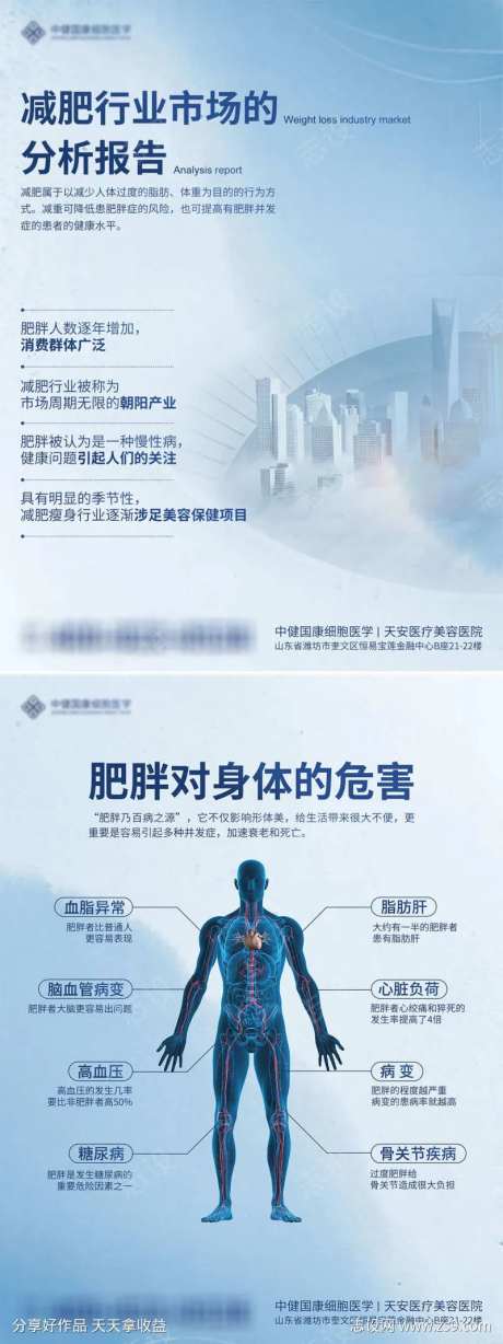 减肥行业分析墙贴-采灵感-https://www.cailinggan.com/