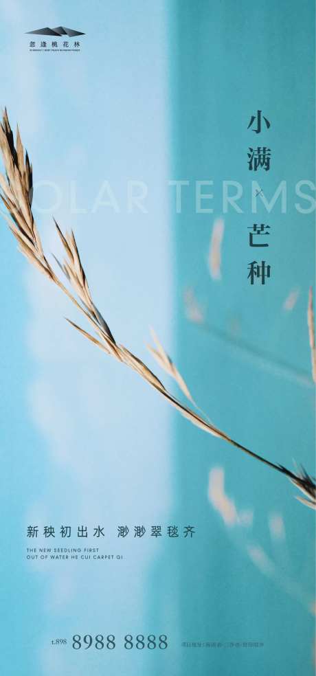 小满芒种地产海报-采灵感-https://www.cailinggan.com/