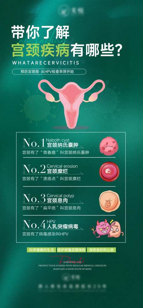 带你了解宫颈疾病有哪些？-采灵感-https://www.cailinggan.com/