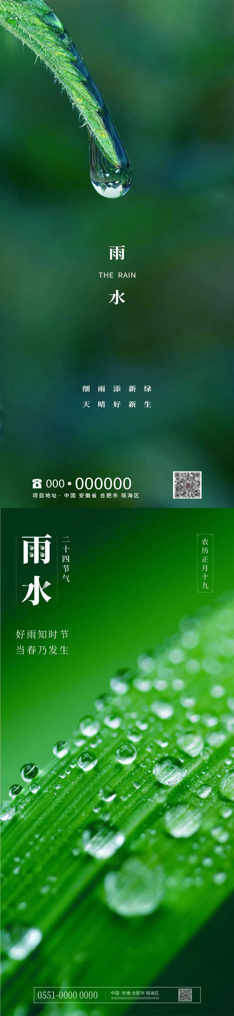 二十四节气之雨水树叶雨滴海报-采灵感-cailinggan.com