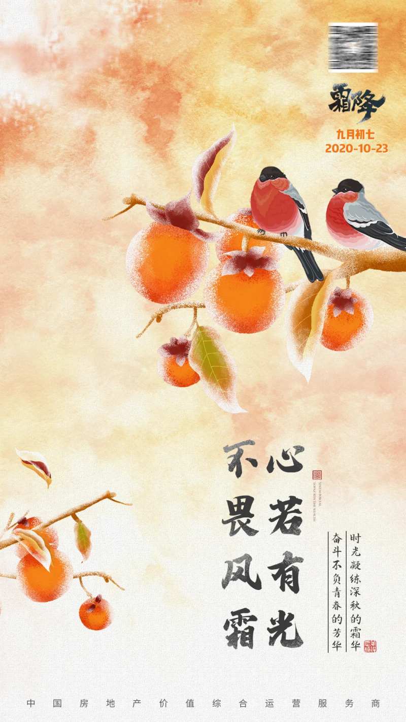 房地产节日节点贴片霜降柿子鸟-采灵感-cailinggan.com