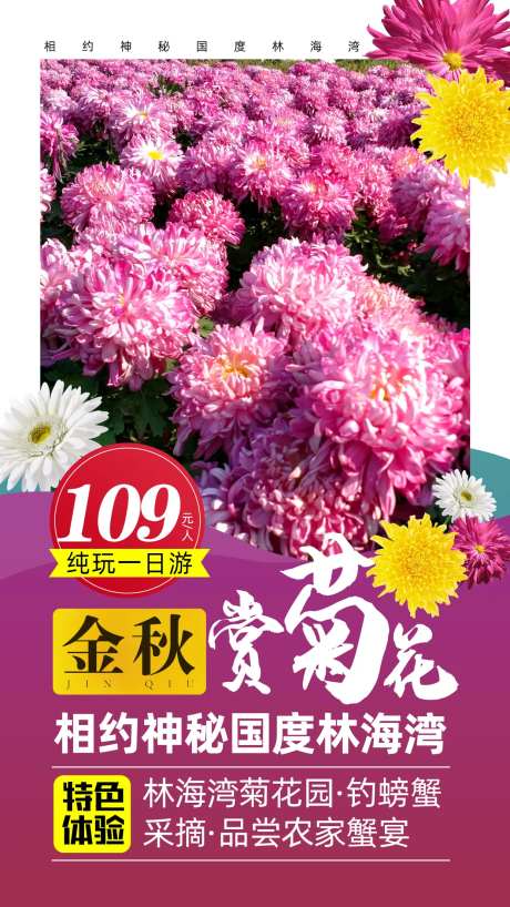 金秋赏菊花旅游海报-采灵感-https://www.cailinggan.com/