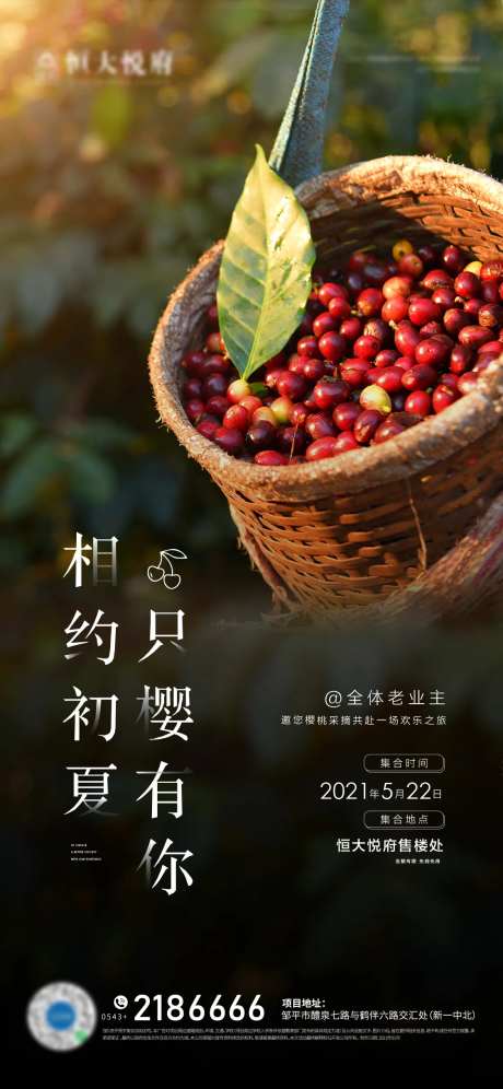 樱桃-采灵感-https://www.cailinggan.com/