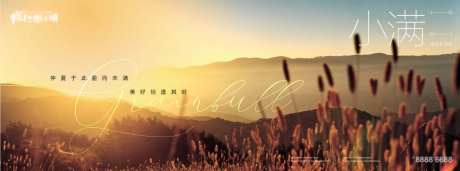 地产24节气-小满-采灵感-https://www.cailinggan.com/