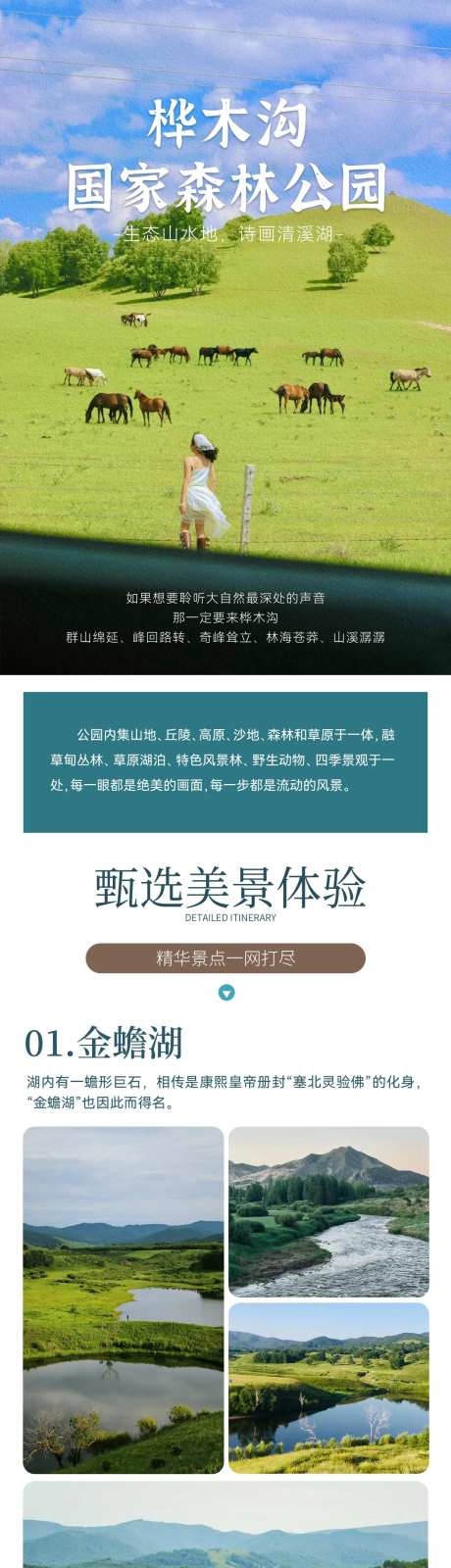 森林公园海报-采灵感-https://www.cailinggan.com/