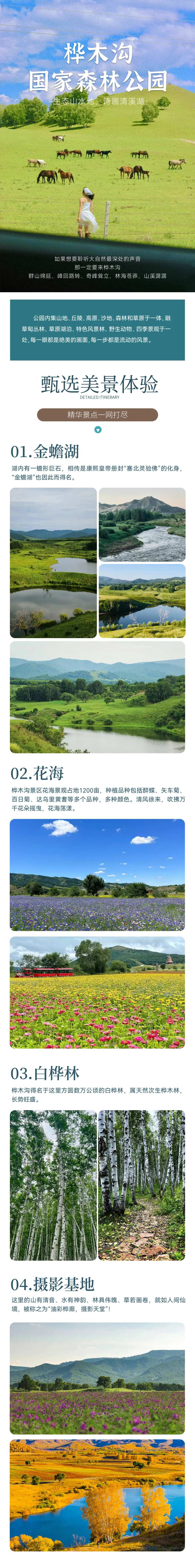 森林公园海报-采灵感-cailinggan.com