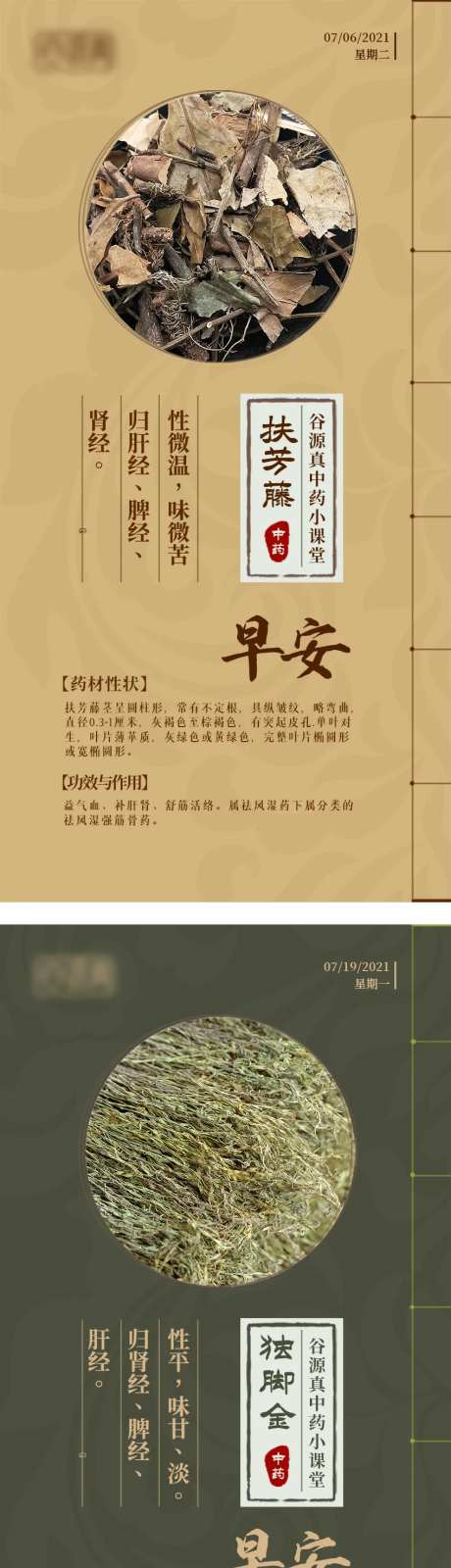 中医中药早安古风海报-采灵感-https://www.cailinggan.com/