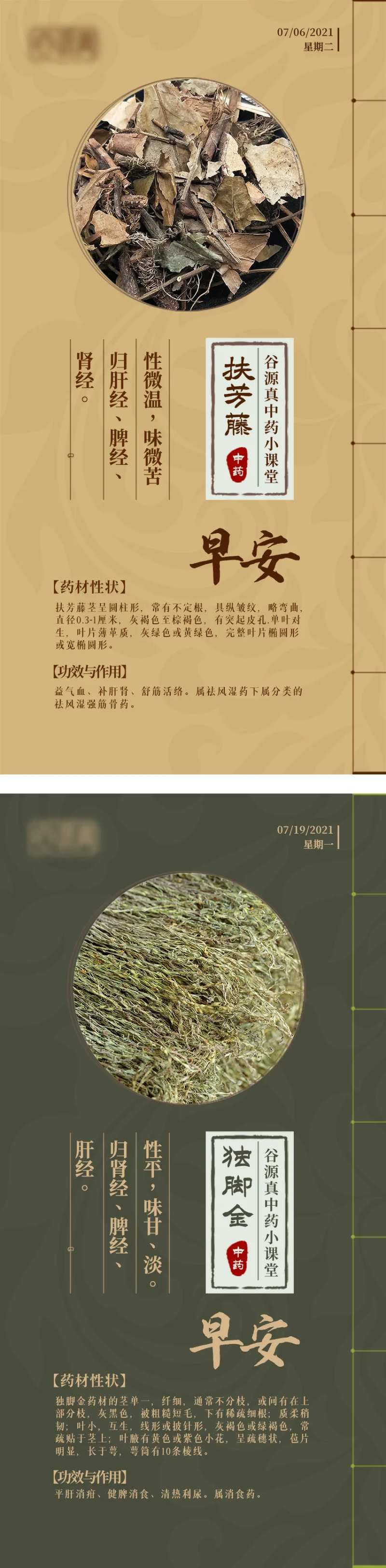 中医中药早安古风海报-采灵感-cailinggan.com