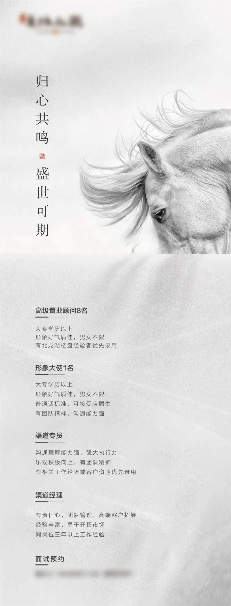 招聘白马-采灵感-cailinggan.com