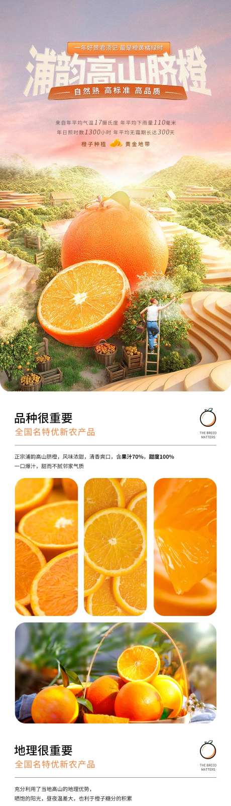 浦韵高山脐橙详情页-采灵感-https://www.cailinggan.com/