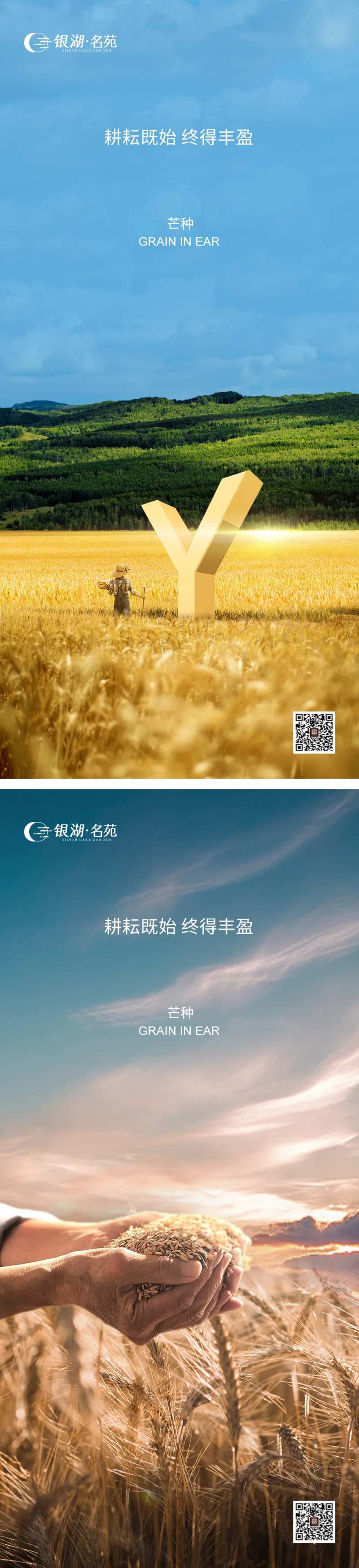 芒种节气海报-采灵感-cailinggan.com