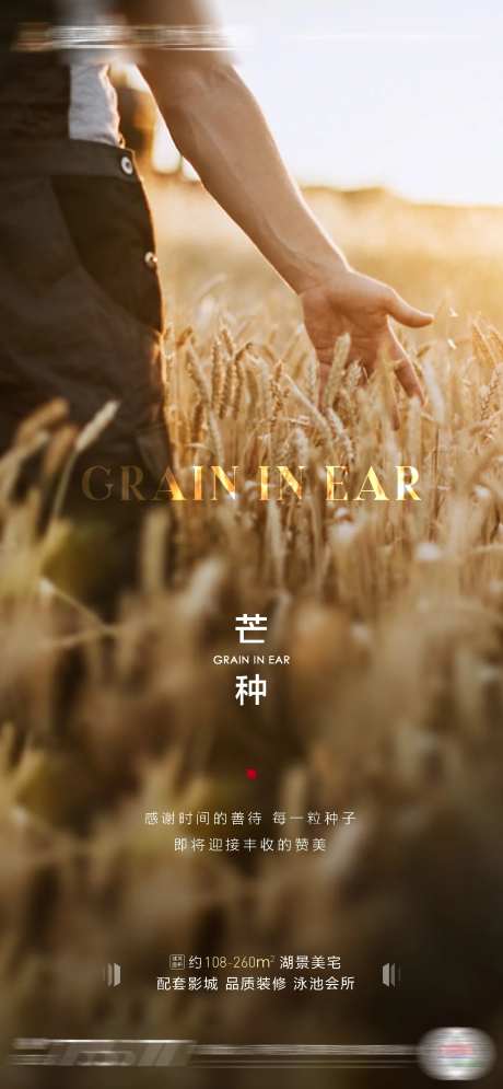 房地产芒种节气农历节日谷物丰收海报-采灵感-https://www.cailinggan.com/