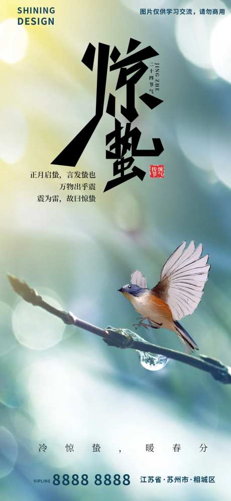 树枝水滴飞鸟节气惊蛰海报-采灵感-https://www.cailinggan.com/