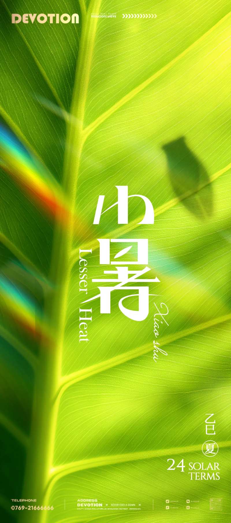 小暑夏天蝉阳光纹理清新海报-采灵感-cailinggan.com