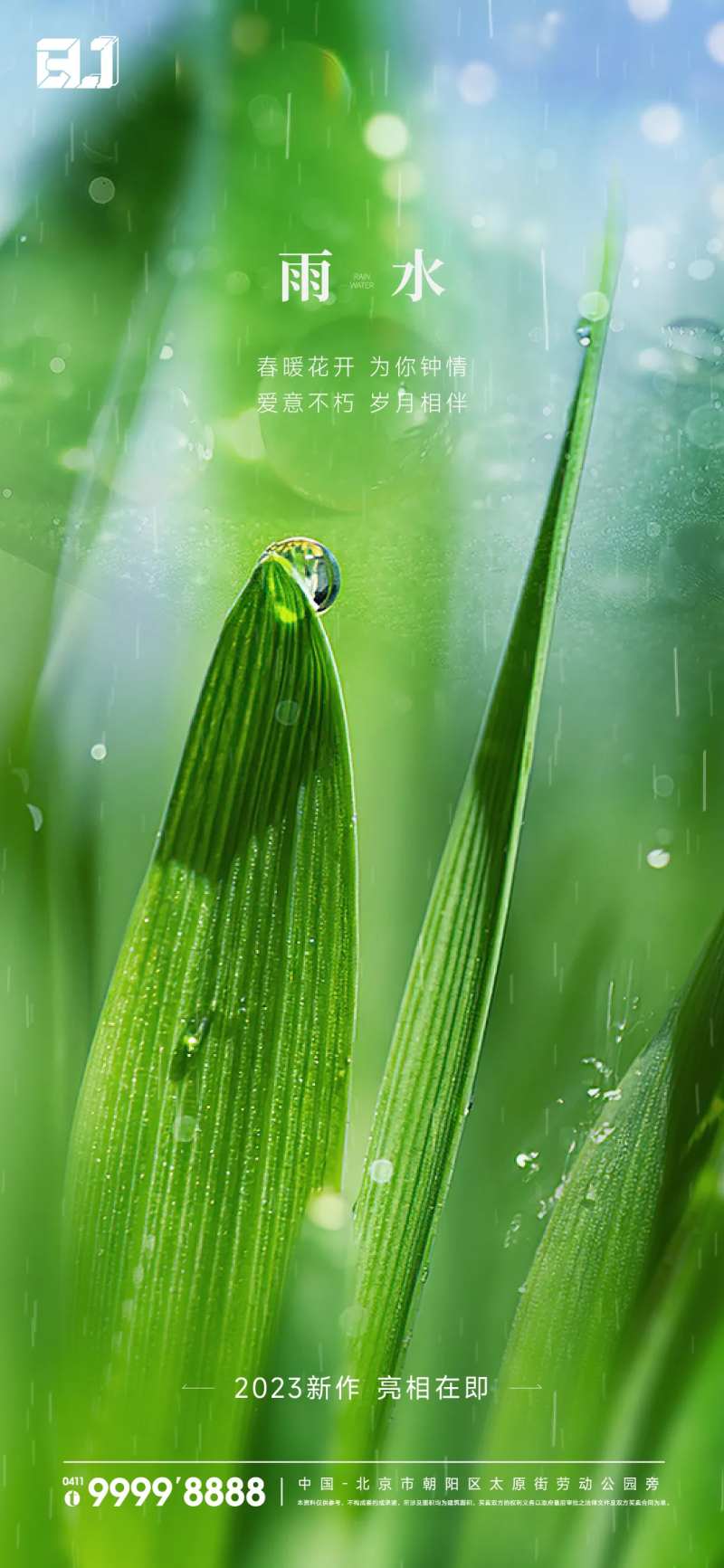 地产雨水节气海报-采灵感-cailinggan.com