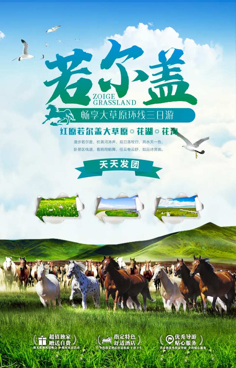 若尔盖草原旅游海报-采灵感-cailinggan.com