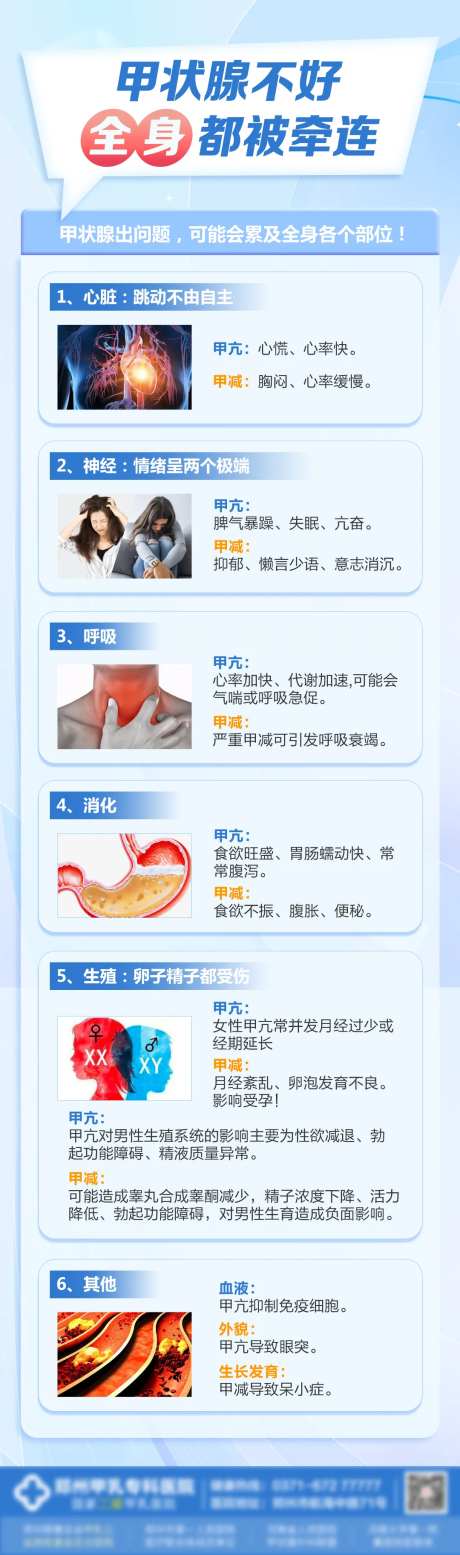 甲状腺科普长图-采灵感-https://www.cailinggan.com/