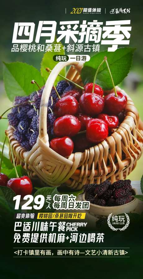 樱桃采摘水果活动海报-采灵感-https://www.cailinggan.com/