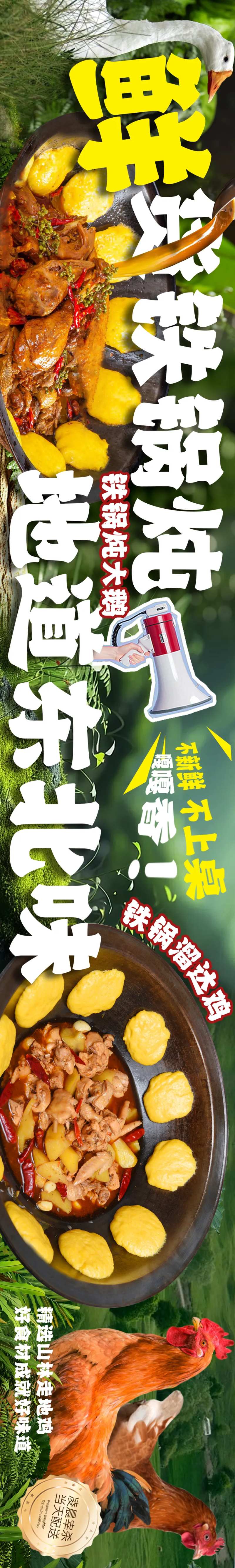 东北铁锅炖美食长图海报-采灵感-cailinggan.com