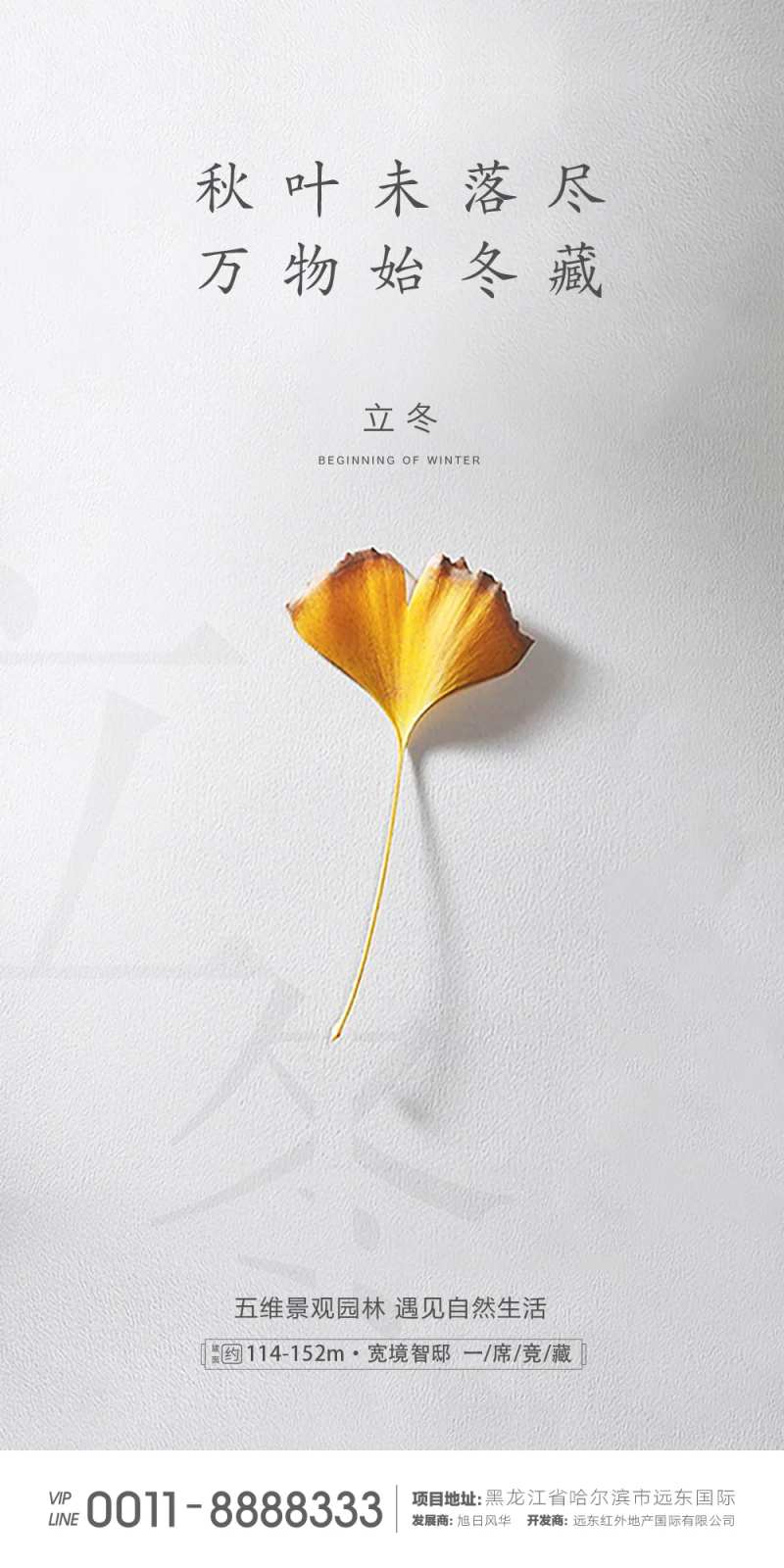 立冬简约节气海报-采灵感-cailinggan.com