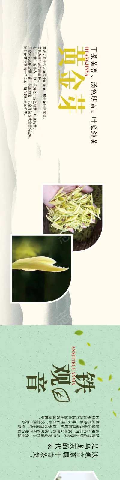 茶业海报灯箱-采灵感-https://www.cailinggan.com/