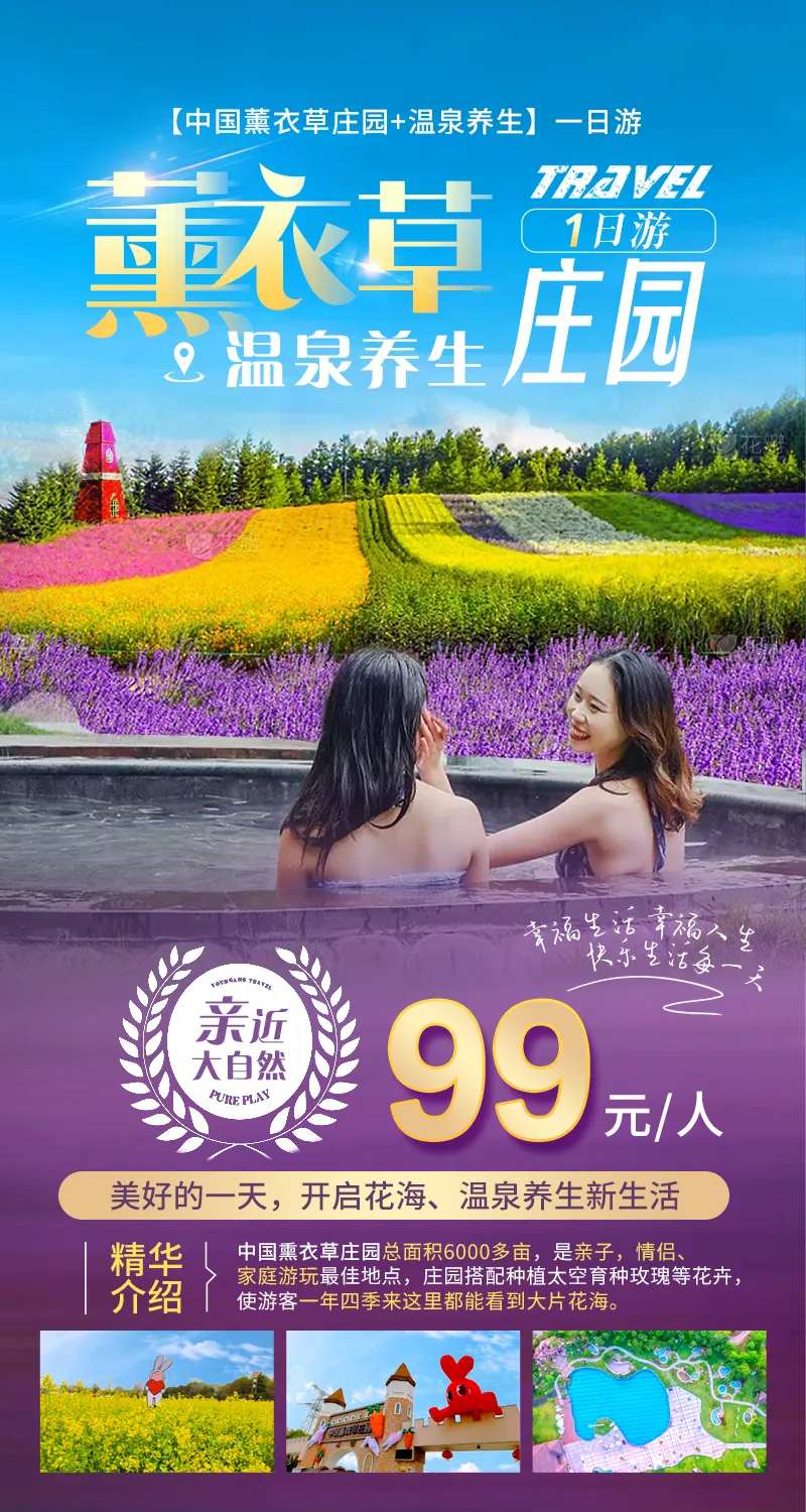 薰衣草庄园温泉游泳旅游 海报-采灵感-cailinggan.com