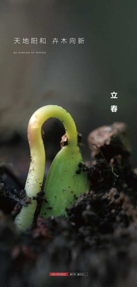 立春发芽-采灵感-https://www.cailinggan.com/