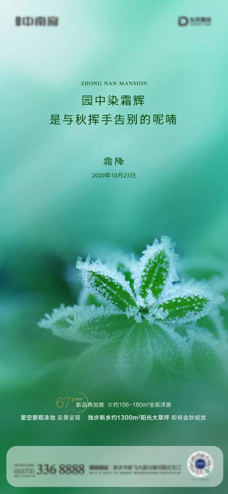 霜降节气海报-采灵感-https://www.cailinggan.com/