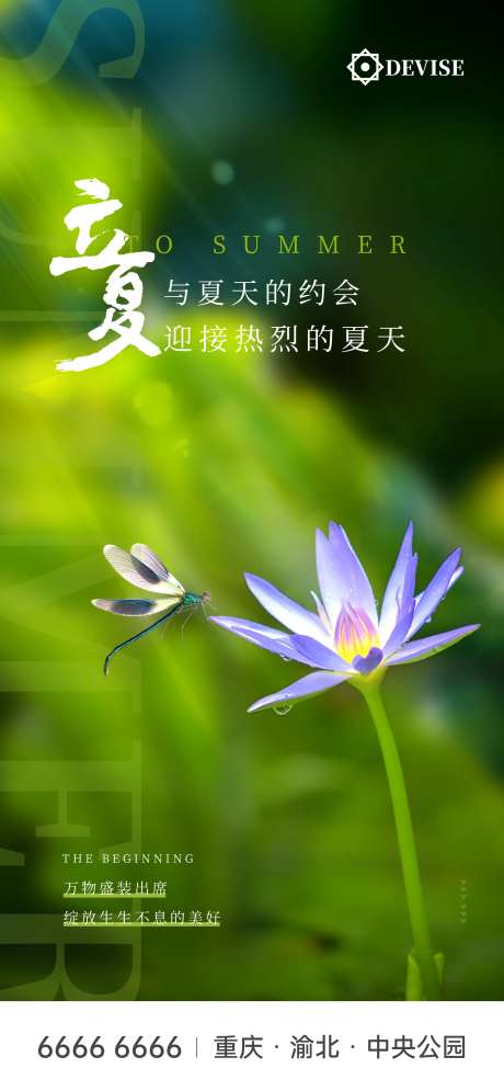 立夏荷花节气海报-采灵感-https://www.cailinggan.com/