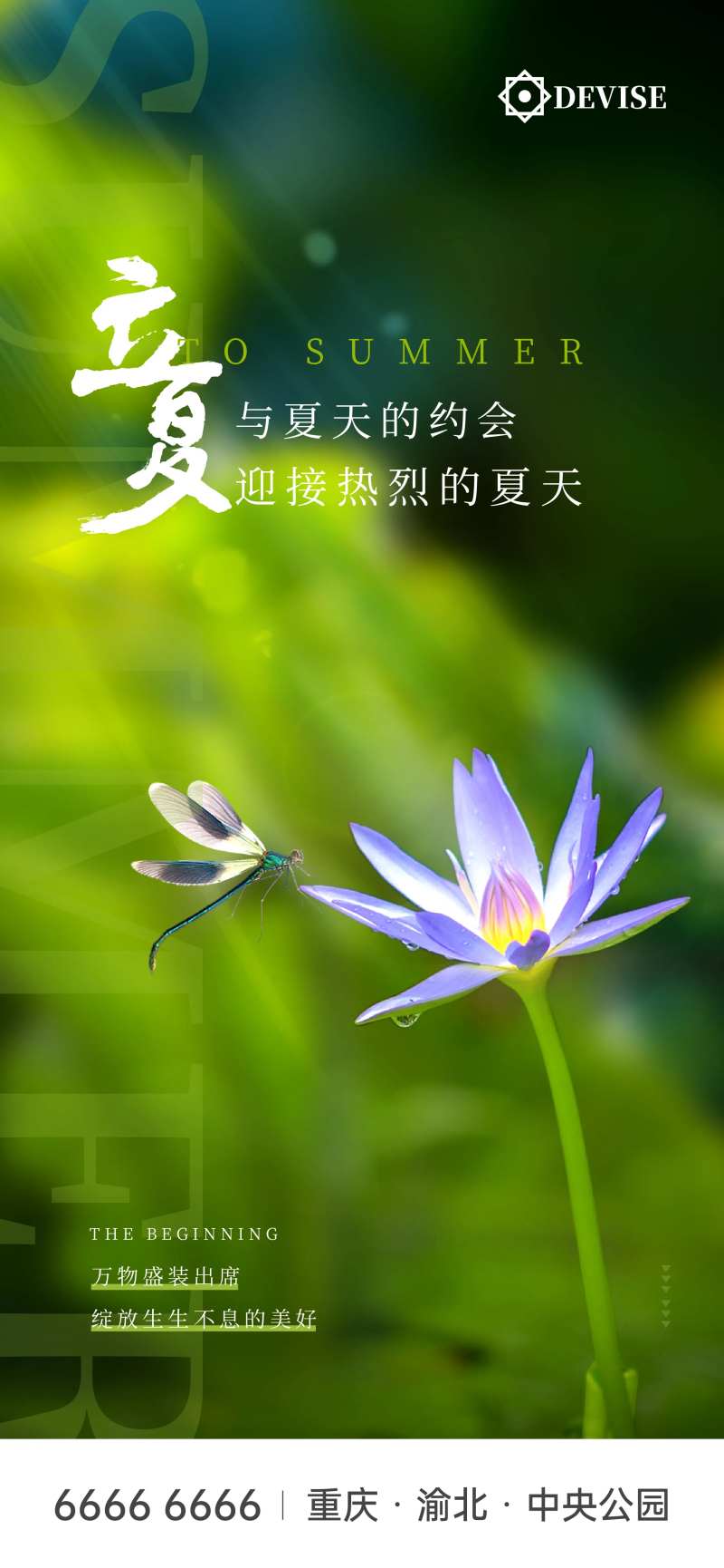 立夏荷花节气海报-采灵感-cailinggan.com
