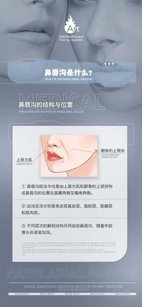 医美鼻唇沟科普海报-采灵感-https://www.cailinggan.com/