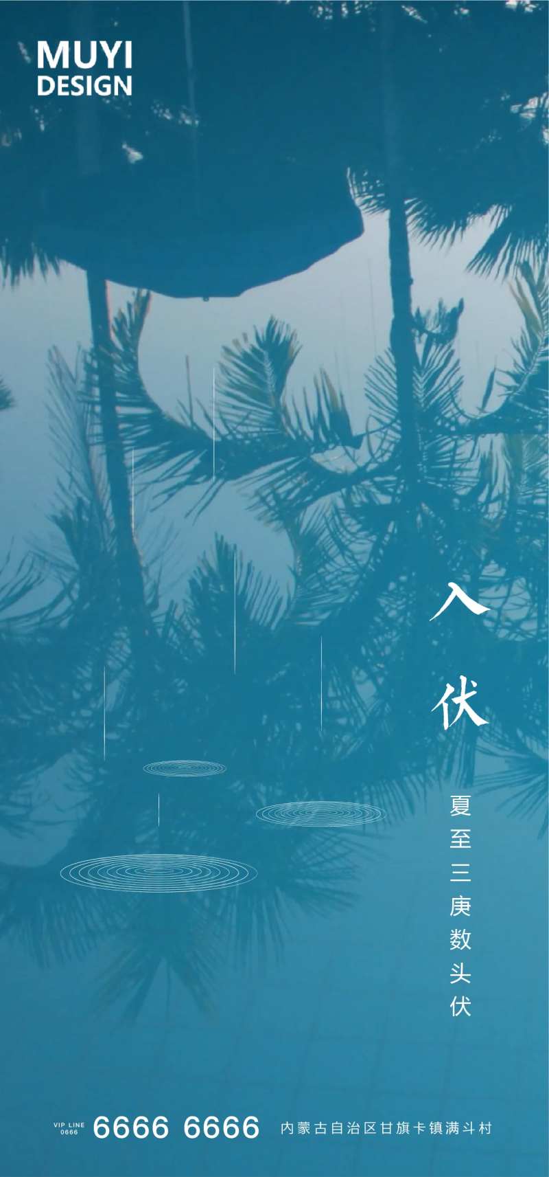 入伏移动端海报-采灵感-cailinggan.com