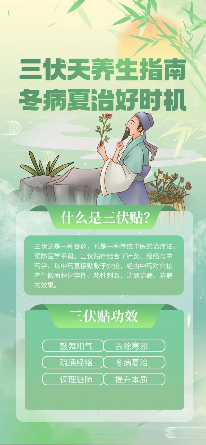三伏贴科普海报-采灵感-cailinggan.com