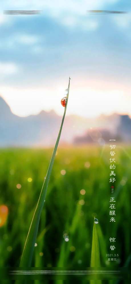 二十四节气惊蛰春分万物复苏微信海报-采灵感-https://www.cailinggan.com/