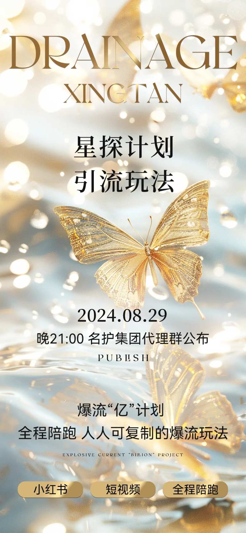 招商引流海报-采灵感-cailinggan.com