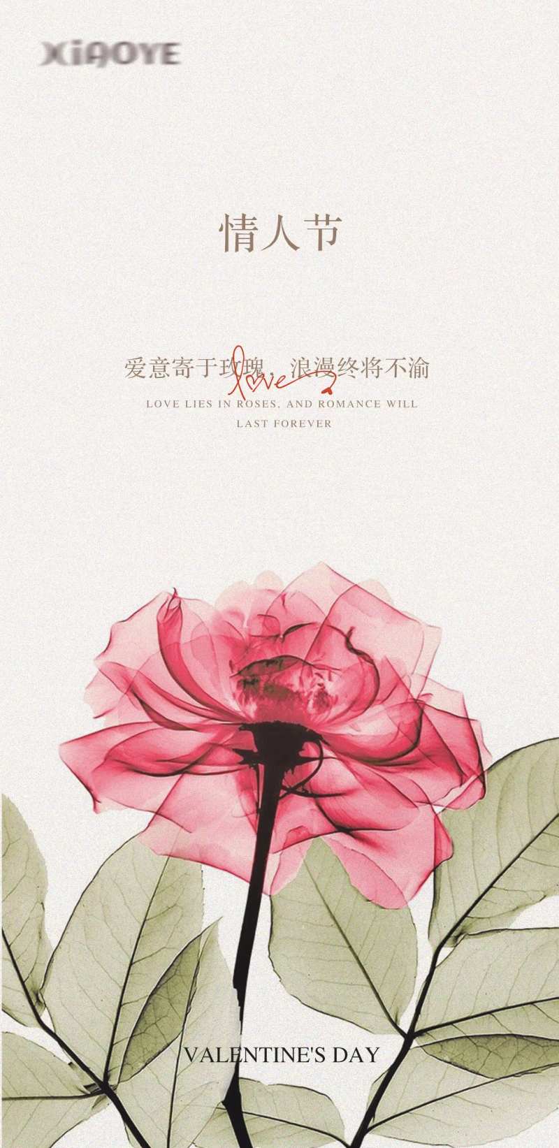 情人节质感海报-采灵感-cailinggan.com