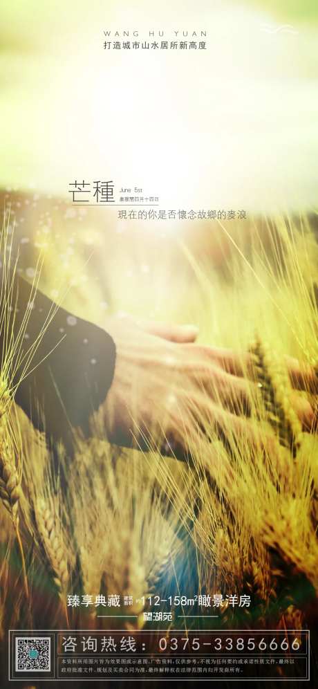 故乡的麦浪芒种节气海报-采灵感-https://www.cailinggan.com/