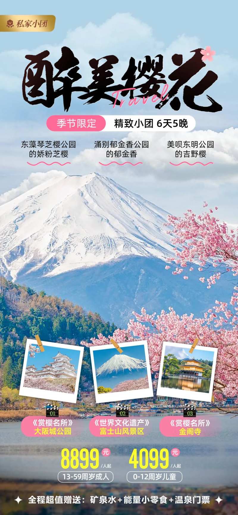 醉美樱花海报-采灵感-cailinggan.com