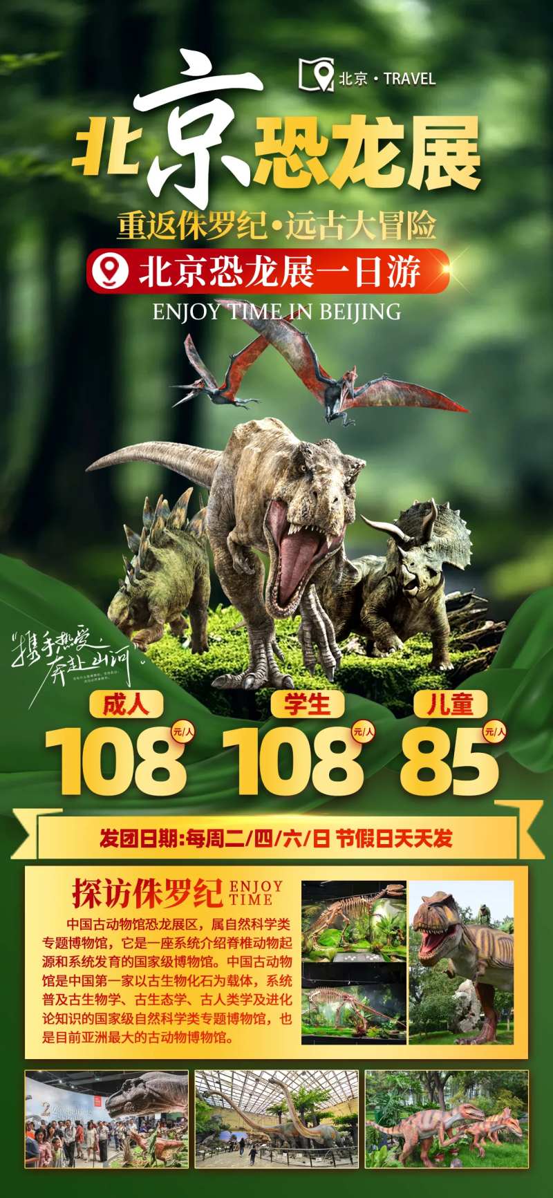 北京研学恐龙展海报-采灵感-cailinggan.com
