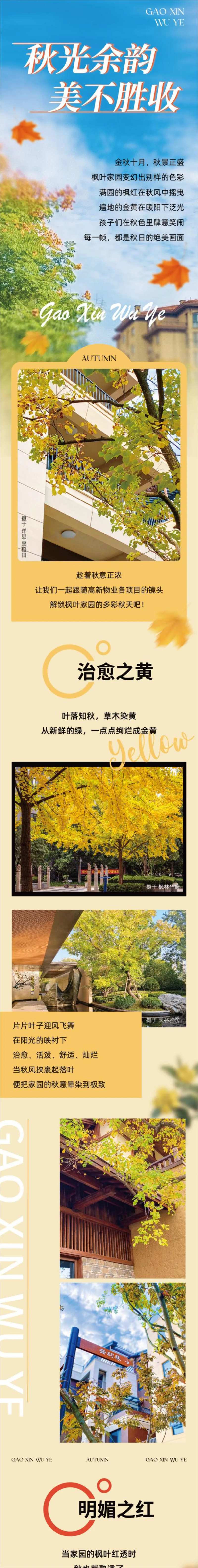 秋景推文长图-采灵感-cailinggan.com