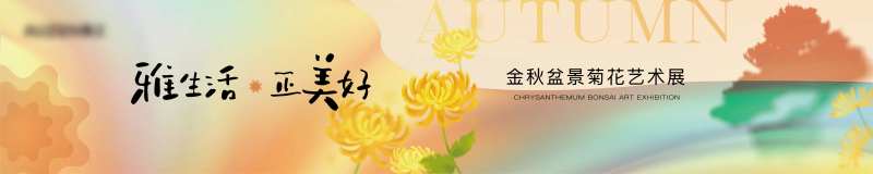 菊花展背景主KV-采灵感-cailinggan.com