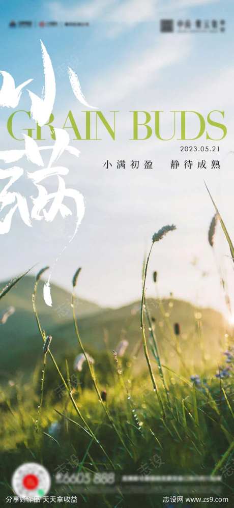 小满芒种夏至海报-采灵感-cailinggan.com