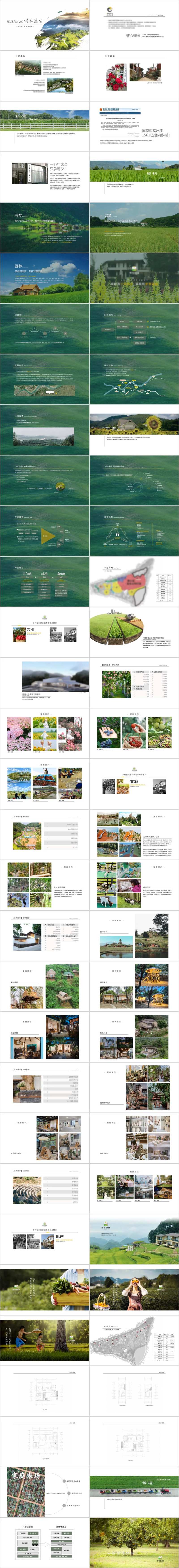 乡村振兴田园项目介绍-采灵感-cailinggan.com